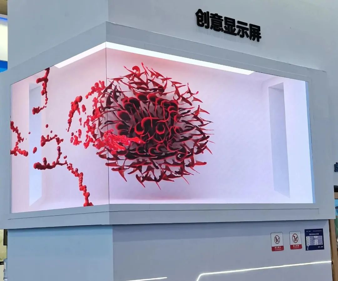 惊艳亮相南博会 | huatihui打造视觉盛宴