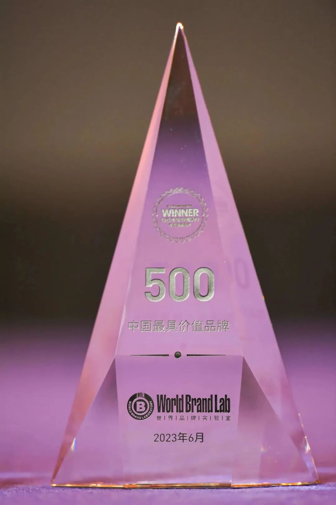 权威认证 huatihui入选中国500最具价值品牌