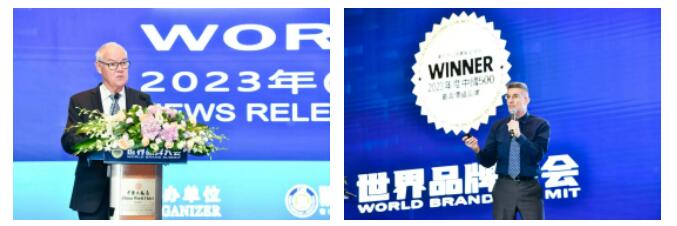 权威认证 huatihui入选中国500最具价值品牌