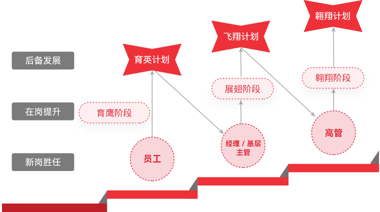 huatihui "雄鹰计划"人才梯队培养
